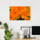 Oranje papaver in het voorjaar van het Poster (Thuiskantoor)