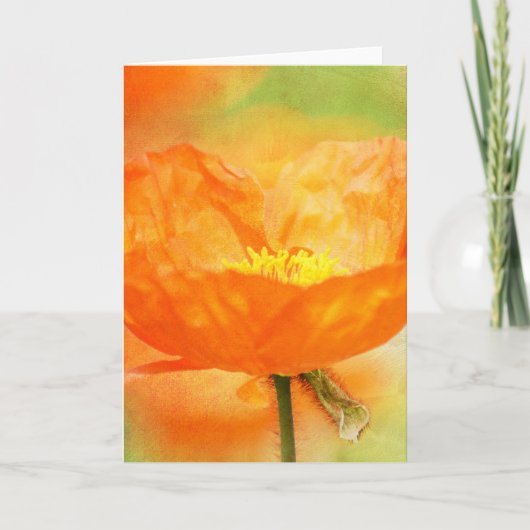 Oranje papaver kaart (Voorkant)