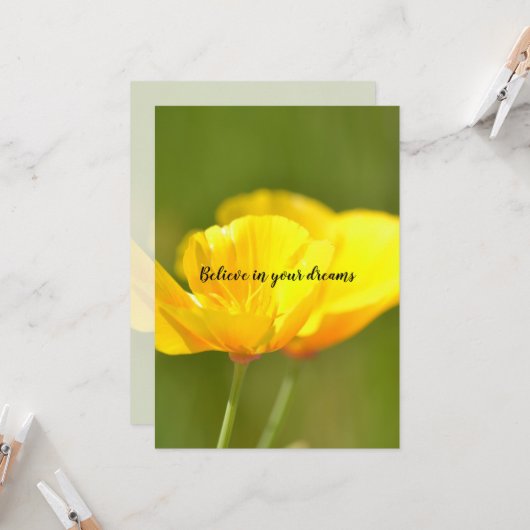 Oranje papaver kaart (Voorkant / Achterkant in situ)