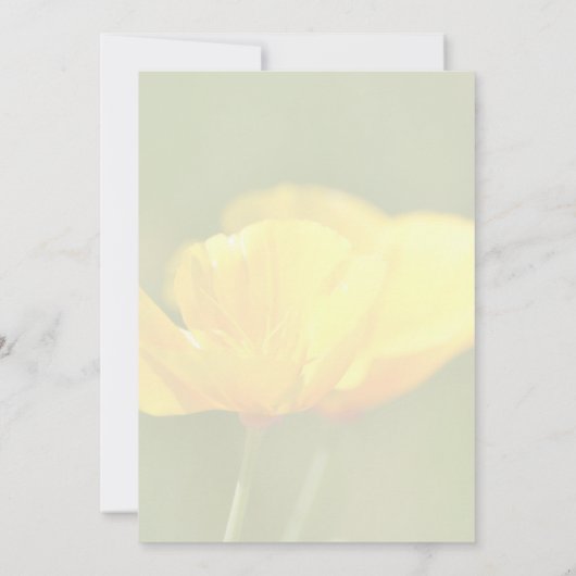 Oranje papaver kaart (Achterkant)