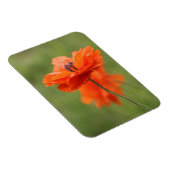 Oranje papaver magneet (Rechterzijde)