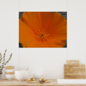 Oranje papaver met BW Poster (Keuken)