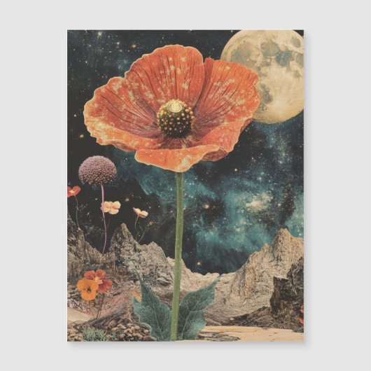Oranje papaver onder maanlicht (Voorkant)