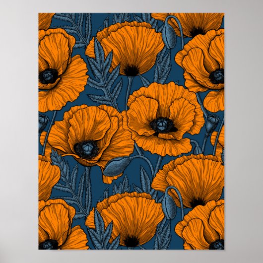 Oranje papaver op donkerblauw poster (Voorkant)
