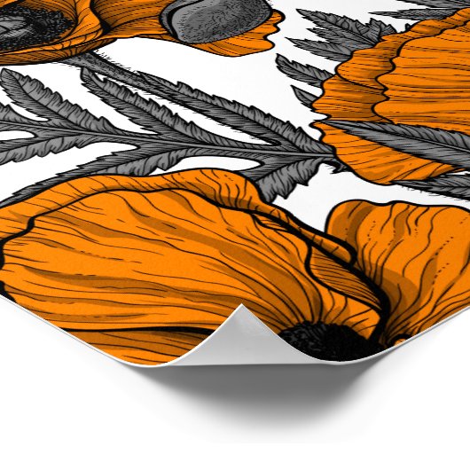 Oranje papaver op wit poster (Hoek)