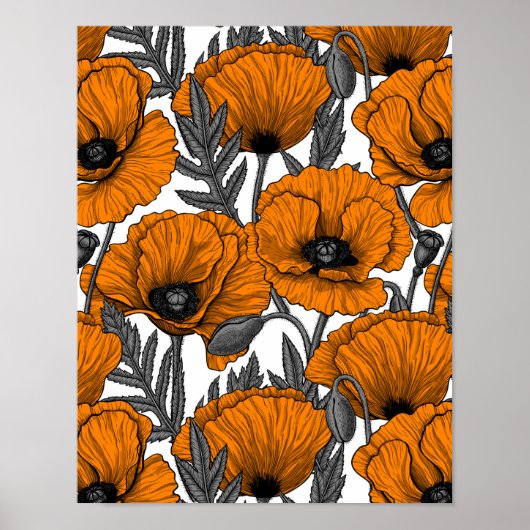 Oranje papaver op wit poster (Voorkant)