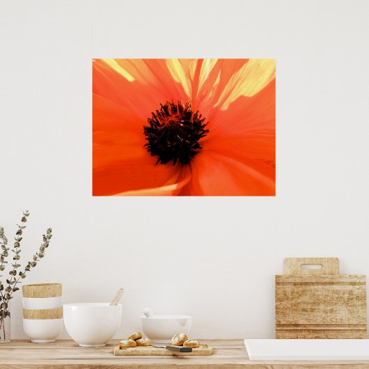 Oranje papaver poster (Keuken)