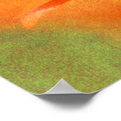 Oranje papaver poster (Hoek)