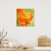 Oranje papaver poster (Keuken)
