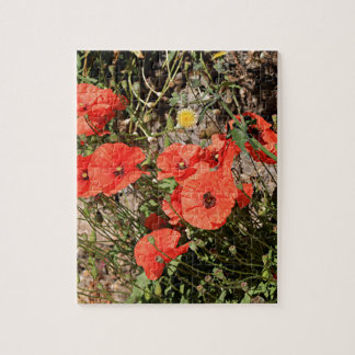 Oranje papaver van El Camino Legpuzzel