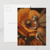 Oranje papaverfee briefkaart (Voorkant / Achterkant)