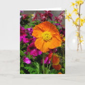 Oranje papaverkaart kaart (Gele Bloem)