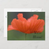 Oranje papaverwijziging van adres aankondigingskaart (Voorkant / Achterkant)