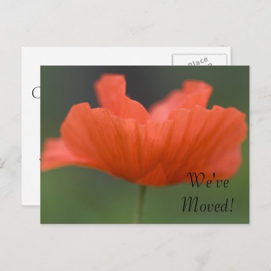 Oranje papaverwijziging van adres aankondigingskaart (Voorkant / Achterkant)