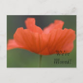 Oranje papaverwijziging van adres aankondigingskaart (Voorkant)