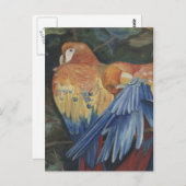 oranje papegaaien briefkaart (Voorkant / Achterkant)