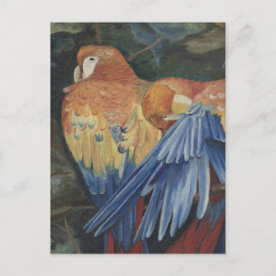 oranje papegaaien briefkaart