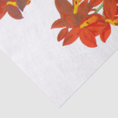 Oranje papier voor rode orkaanblazer (Detail)