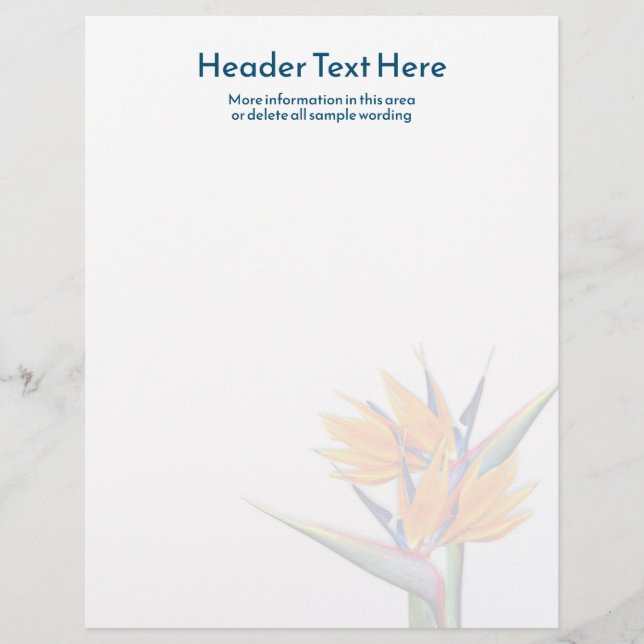 Oranje Paradijsvogel Leeg Schrijfpapier Briefhoofd (Voorkant)