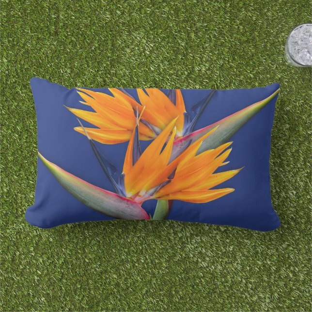Oranje Paradijsvogel Navy Worpkussen Buitenkussen (Gras)
