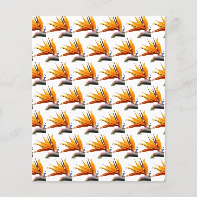 Oranje Paradijsvogel Patroon Scrapbook Papier (Voorkant)