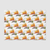 Oranje Paradijsvogel Plant Bloemenpatroon Tissuepapier (Voorkant)