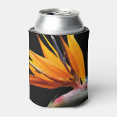 Oranje Paradijsvogel Plant Bloom Floral Blikjeskoeler (Blikje Voorkant)