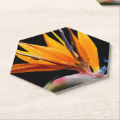 Oranje Paradijsvogel Plant Bloom Floral Kartonnen Onderzetters (Schuin)