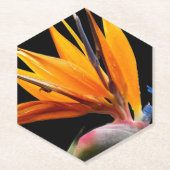 Oranje Paradijsvogel Plant Bloom Floral Kartonnen Onderzetters (Voorkant)