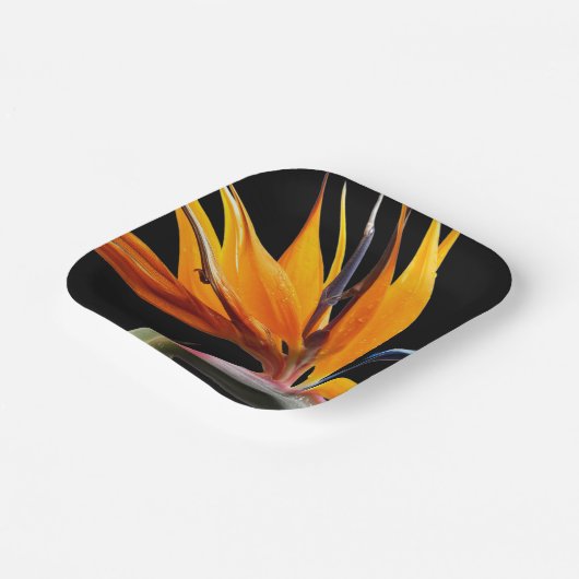 Oranje Paradijsvogel Plant Bloom Floral Papieren Bordje (Gebogen)