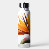 Oranje paradijsvogel Plant op wit Waterfles (Links)