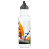 Oranje paradijsvogel Plant op wit Waterfles (Rechts)