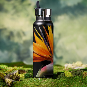 Oranje paradijsvogel Plant op zwart Waterfles