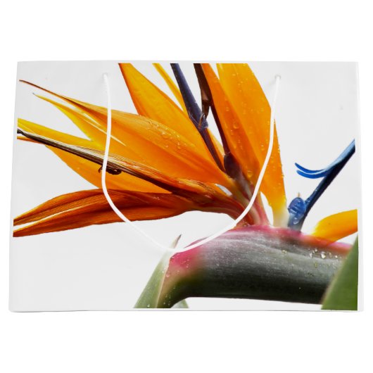Oranje Paradijsvogel Plant Patroon op wit Groot Cadeauzakje (Voorkant)