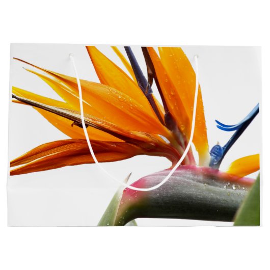 Oranje Paradijsvogel Plant Patroon op wit Groot Cadeauzakje (Achterkant)