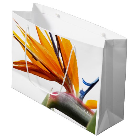 Oranje Paradijsvogel Plant Patroon op wit Groot Cadeauzakje (Voorkant Gekanteld)