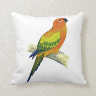 Oranje Parrot Pillow No.10 Kussen