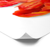 Oranje Parrot Tulip Digital Art ontvlammen Poster (Hoek)