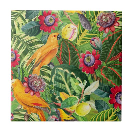 Oranje parrots in het Tropische Bloem van het Oerw Tegeltje (Voorkant)