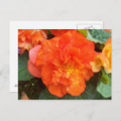 Oranje Peony Briefkaart (Voorkant / Achterkant)