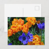 Oranje Peony Tulips & Blue Anemones DIY Briefkaart (Voorkant / Achterkant)