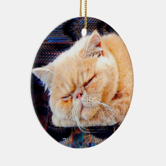 Oranje Perzisch Kat Keramisch Ornament (Rechts)