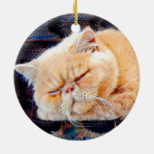 Oranje Perzisch Kat Keramisch Ornament (Achterkant)