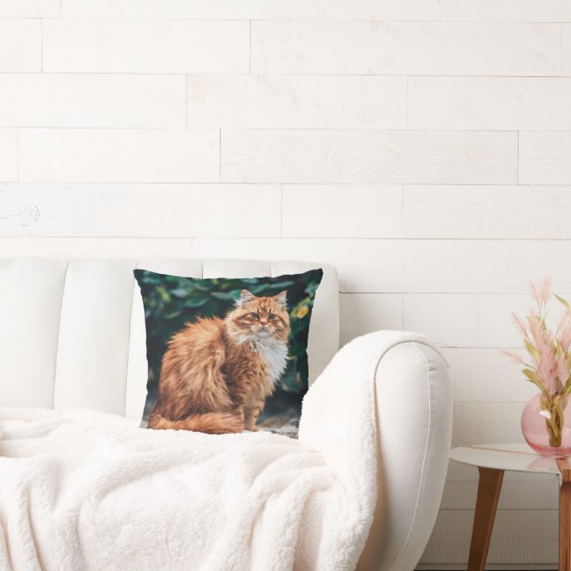 Oranje Perzische kat Kussen (Bank)