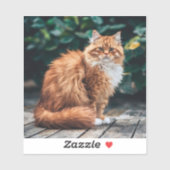 Oranje Perzische kat Sticker (Vel)