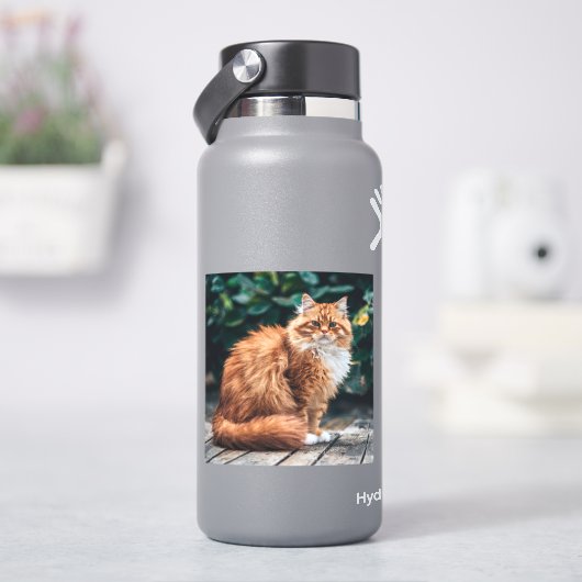 Oranje Perzische kat Sticker (HydroFlask)