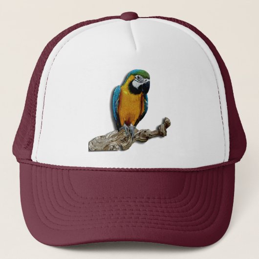 Oranje pet alleen Parrot (Voorkant)