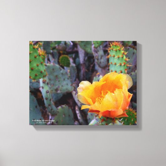 Oranje peul, opuntia cactus, bloemfoto canvas afdruk (Voorkant)