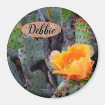 Oranje peul, opuntia cactus, bloemfoto
