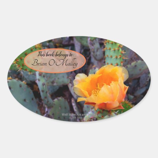 Oranje peul, opuntia cactus, bloemfoto ovale sticker (Voorkant)